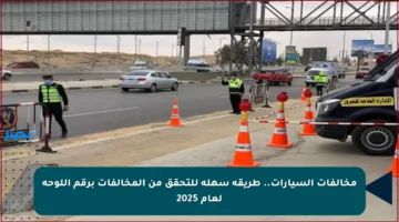 مخالفات السيارات.. طريقة سهلة للتحقق من المخالفات برقم اللوحة لعام 2025